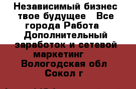 Независимый бизнес-твое будущее - Все города Работа » Дополнительный заработок и сетевой маркетинг   . Вологодская обл.,Сокол г.